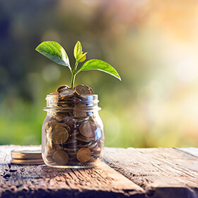 Glass jar with coins and a plant growing out the top, 2 coins on a wood table next to jar