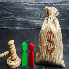 Money bag with 2 pawns and gavel